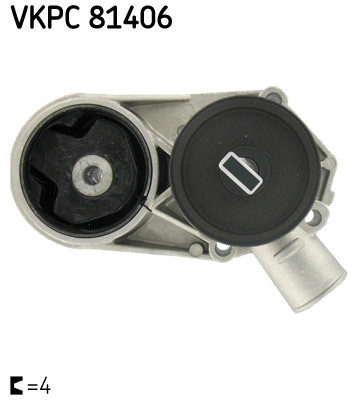 SKF Wasserpumpe